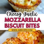 Garlic Mozzarella Bites Recipe