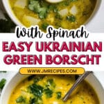 Ukrainian Green Borscht Recipe