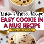 Cookie in a Mug Recipe