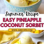2 Ingredient Pineapple Coconut Sorbet Recipe