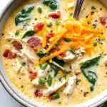 Slow Cooker Crack Chicken Soup Recipe